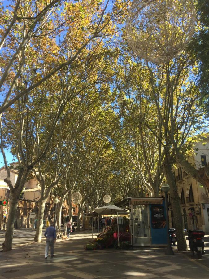 Cream Homes La Rambla, Turismo De Interior Palma de Mallorca Ngoại thất bức ảnh