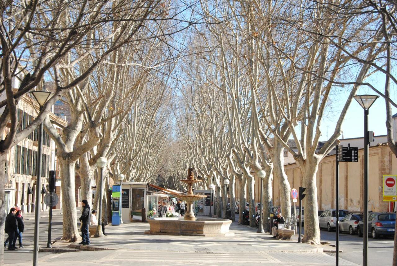Cream Homes La Rambla, Turismo De Interior Palma de Mallorca Ngoại thất bức ảnh